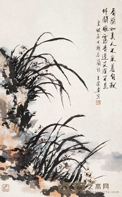 王康乐 幽兰 立轴 78×48cm